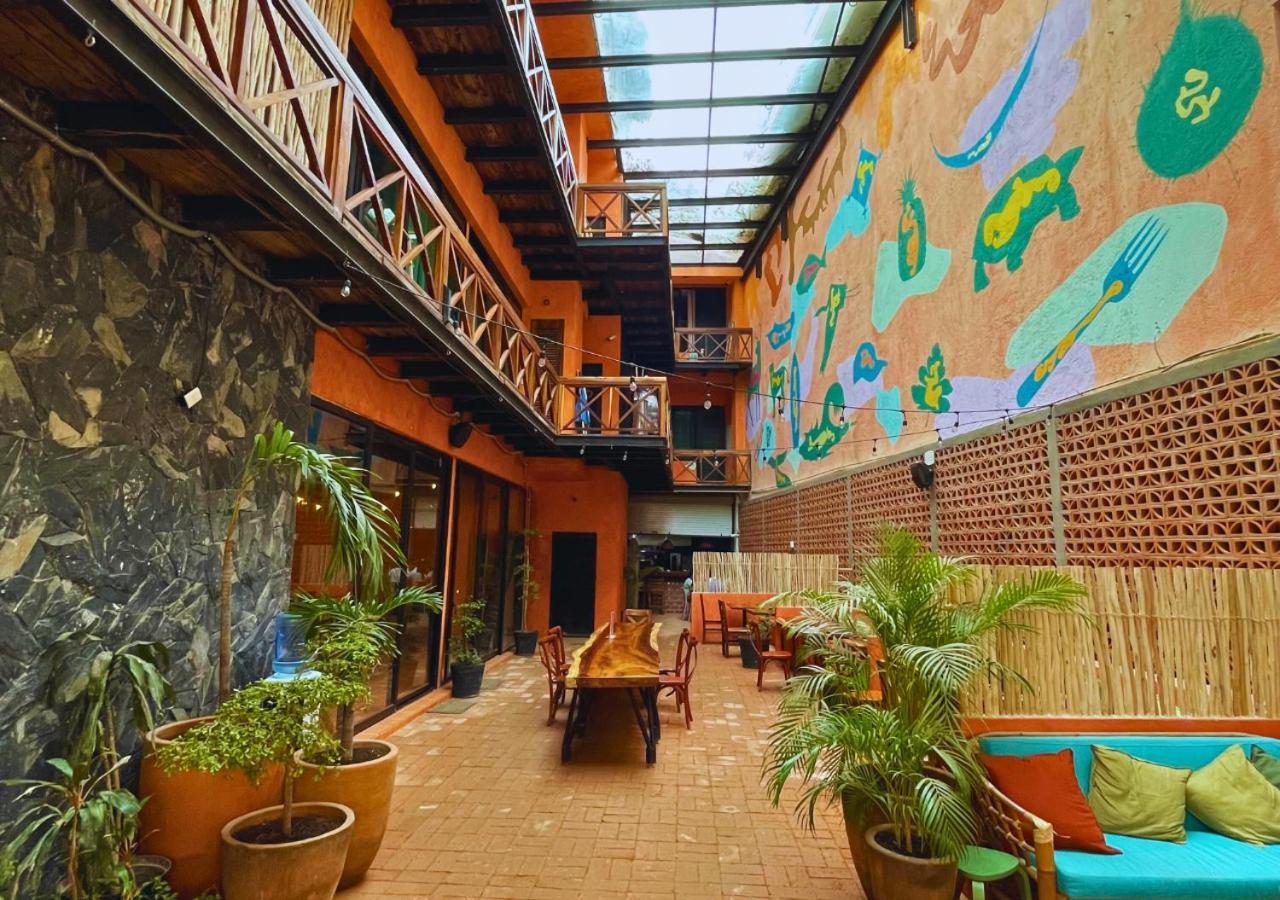 ホテル Casa Pepe サユリタ エクステリア 写真